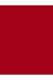 Flormar Kalıcı Mat Stick Ruj - Color Master Sls. - 014 The Red- 8682536018043