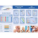 Lactona Arayüz Diş Fırçası Sarı 2,5 mm 6 Lı