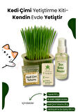 Kedi Otu Çimi Kiti – Evde Yetiştir, Pratik ve Eğlenceli Set 4 Parça 