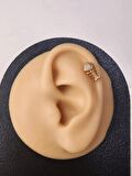 Balık Model Tragus Helix Piercing Ear Cuff Kıkırdak Çelik Küpe