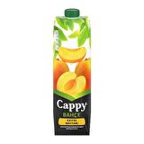 Cappy Kayısı Meyve Suyu 1 Lt. (12'li)