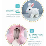 Peluş Kulakları ve Ayakları Hareket Eden Sesli Oyuncak Hareketli Tavşan Pembe