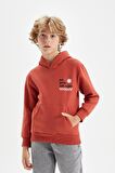 DeFacto Erkek Çocuk Baskılı Kapüşonlu Kalın Okul Sweatshirt C7567A824WNOG46