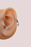 2 Adet Zirkon Yıldızlı Halka Piercing Tragus Helix Forward Kıkırdak Lob Daith (1 Adet 6 mm 1 Adet 8 mm)