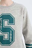 DeFacto Erkek Çocuk Bisiklet Yaka Baskılı Kalın Sweatshirt D4342A824WNGR210
