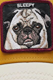 Goorin Bros 101-0404 Nap Life File Detaylı Animal Desenli Şapka Unisex ŞAPKA 1010404