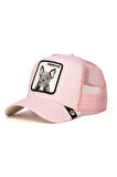 Goorin Bros The French Bulldog Şapka Pembe
