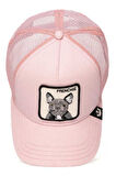 Goorin Bros The French Bulldog Şapka Pembe