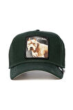 Goorin Bros The Dog Pitbull Şapka Yeşil