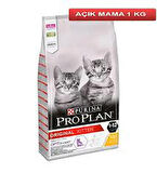 Pro Plan® Kitten Tavuk ve Pirinçli Yavru Kedi Maması - 1 KG Açık Mama