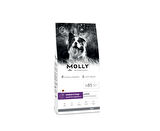 Molly Medium Adult Kuzu Etli & Yaban Mersinli Orta ve Büyük Irk Yetişkin Köpek Maması 2 Kg