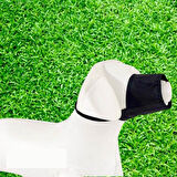 M BedenBez Köpek Ağızlığı