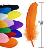 Siyah Tüy El İşi Tüyleri, Okul Öncesi Etkinlik Tüy 10 Lu - 1 Paket