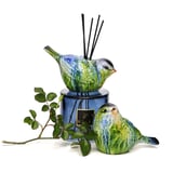 Kendi Kokunu Seç-Bird Collection Mavi Cam Çubuklu Difüzör (Esanssız)