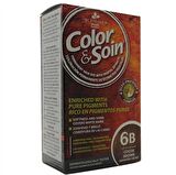 Color and Soin tamamen Bitkisel Organik Saç Boyası 6B Kakao Kahvesi