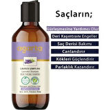 Agarta Lavanta Şampuanı 400 ml