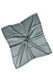 Mısırlı Eşarpları Silky Cocoon Sport Twill Eşarp