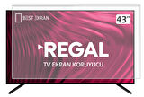 REGAL 43T01750 TV EKRAN KORUYUCU - Regal 43" inç TV Koruyucu