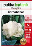 200 Adet Karnabahar Tohumu