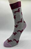 CİHO SOCKS Daily 5 Çift Kadın Pamuklu Günlük, Spor, Desenli Eğlenceli Soket Çorap