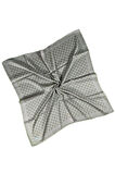 Mısırlı Eşarpları Silky Cocoon Sport Twill Eşarp