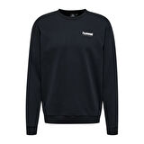 Hummel LGC AUSTIN SWEATSHIRT
