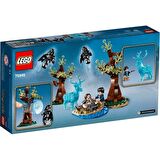LEGO Harry Potter 75945 Expecto Patronum