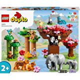 LEGO Duplo 10974 Wild Animals of Asia