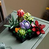 LEGO Creator Expert 10309 Succulents