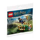 LEGO Harry Potter 30651 Quidditch Practice