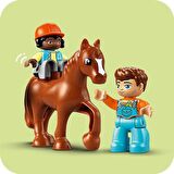 LEGO® DUPLO® Kasabası Çiftlikte Hayvanların Bakımı 10416 (74 Parça)