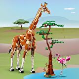 LEGO® Creator Vahşi Safari Hayvanları 31150 - 9 Yaş ve Üzeri Çocuklar için İnşa Edilebilen Zürafa, Ceylan ve Aslan Model Seçenekleri İçeren 3#ü 1 Arada Yaratıcı Oyuncak Yapım Seti (780 Parça)