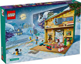 LEGO Friends 42637 Friends Advent Calendar