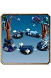 LEGO® Harry Potter™ Yasak Orman: Sihirli Yaratıklar 76432 - 8 Yaş& Üzeri İçin Yapım Seti (172 Parça)