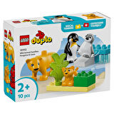 LEGO DUPLO Kasabası Vahşi Hayvan Aileleri: Penguenler ve Aslanlar 10442