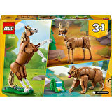 LEGO 31166  Creator 3'ü 1 Arada Güzel At