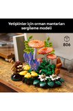 Lego® Botanicals Orman Mantarları 11505 - Yetişkinler için Dekoratif Model Yapım Seti (806 Parça)
