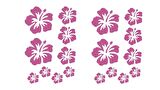 DUVAR SÜSÜ (STİCKER) 2 ADET PEMBE ÇİÇEKLİ ŞEFFAF FİLMLİ PVC 48X33X0,5CM