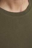 Jack & Jones 12113648_Jjenoa Tee Ss Crew Neck Bisiklet Yaka Regular Fit Baskılı Haki Erkek T-Shirt