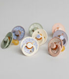 Bibs Studio Colour Jasmine Field Kauçuk Emzik 6-12 Ay Blush