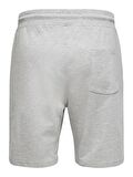 Only & Sons Erkek Şort ONSNEIL SWEAT SHORTS 22015623