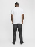 Jack Jones Organıc Basıc Büyük Beden Erkek Tişört 12158482