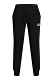 Jack & Jones Normal Siyah Erkek Eşofman Altı 12178421_JJIGORDON