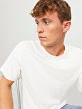 JJEBASHER BİSİKLET YAKA ERKEK T-SHIRT 12182498