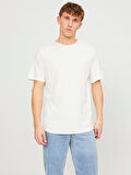 JJEBASHER BİSİKLET YAKA ERKEK T-SHIRT 12182498