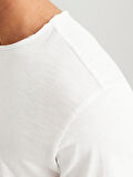 JJEBASHER BİSİKLET YAKA ERKEK T-SHIRT 12182498