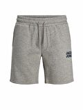 Jack & Jones Erkek Şort 12186787