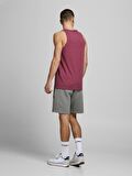 Jack & Jones Erkek Şort Newsoft Sweats Gms Sts