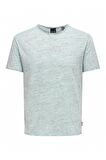 Only & Sons Erkek T-shirt SHORT SLEEVED T-SHIRT - 22005108