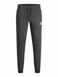 Jack & Jones Erkek Eşofman Altı 12178421